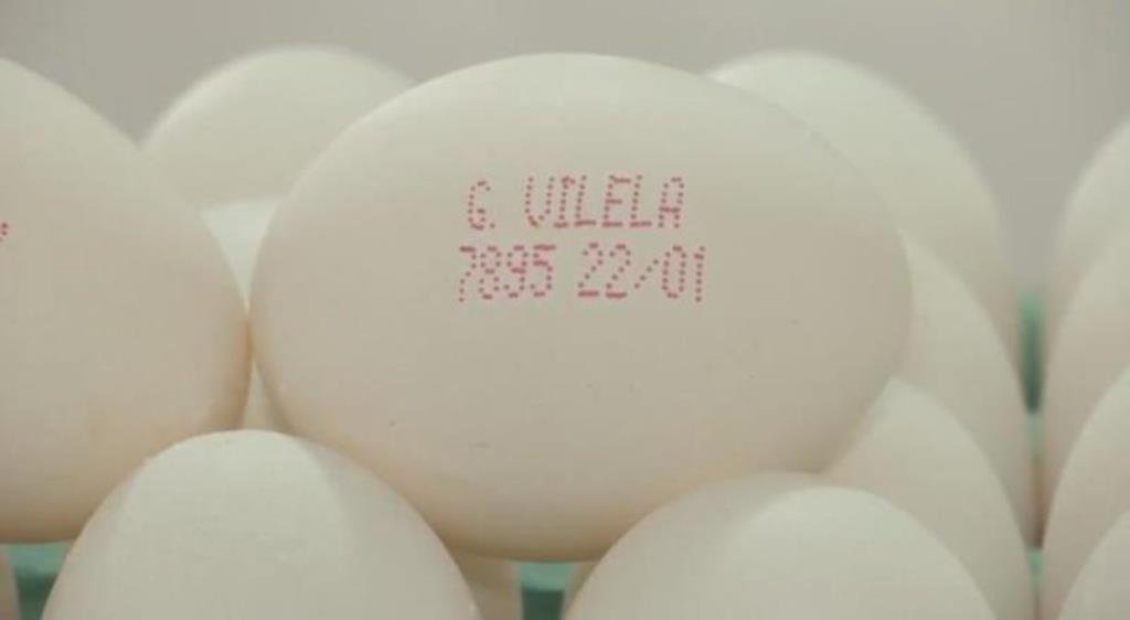 Ovos com validade na casca.